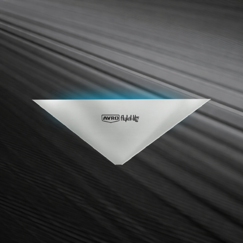 Glue Trap (G.P-9)
